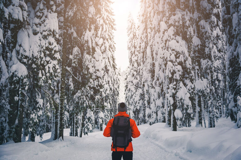 punatakkinen henkilö seisoo selkä kameraan päin lumisessa metsässä ja katsoo puiden välistä siintävää valoa.